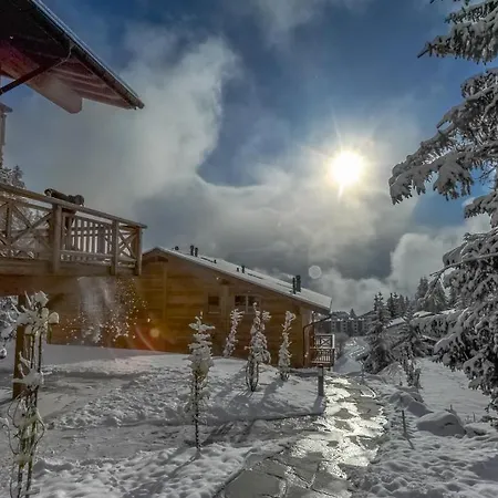 Luxury Chalet *